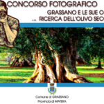 Concorso fotografico “Grassano e le sue origini… ricerca dell’olivo secolare”