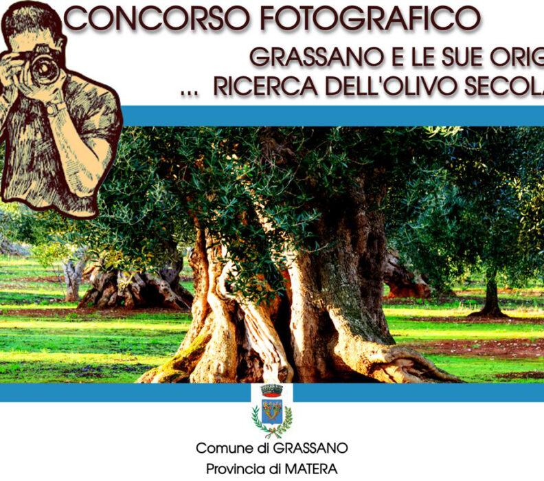Concorso fotografico “Grassano e le sue origini… ricerca dell’olivo secolare”